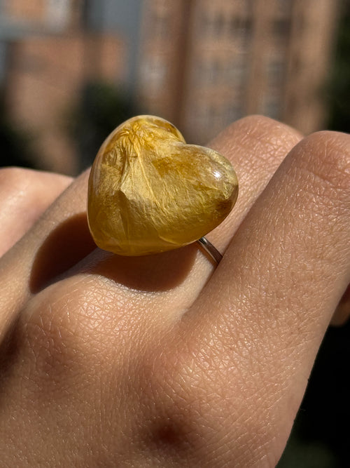 CORAZÓN PÉTALOS DEL ALMA