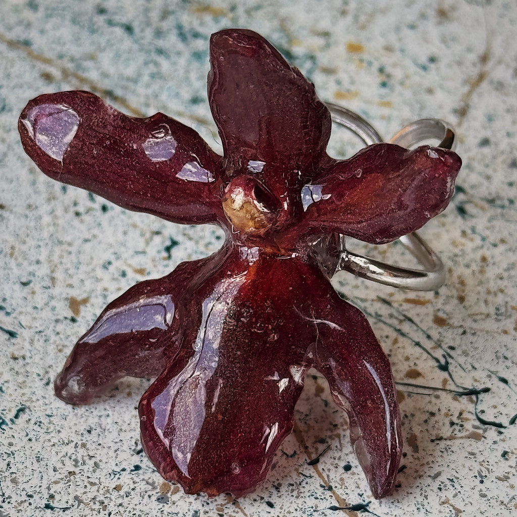 ESCARLATA