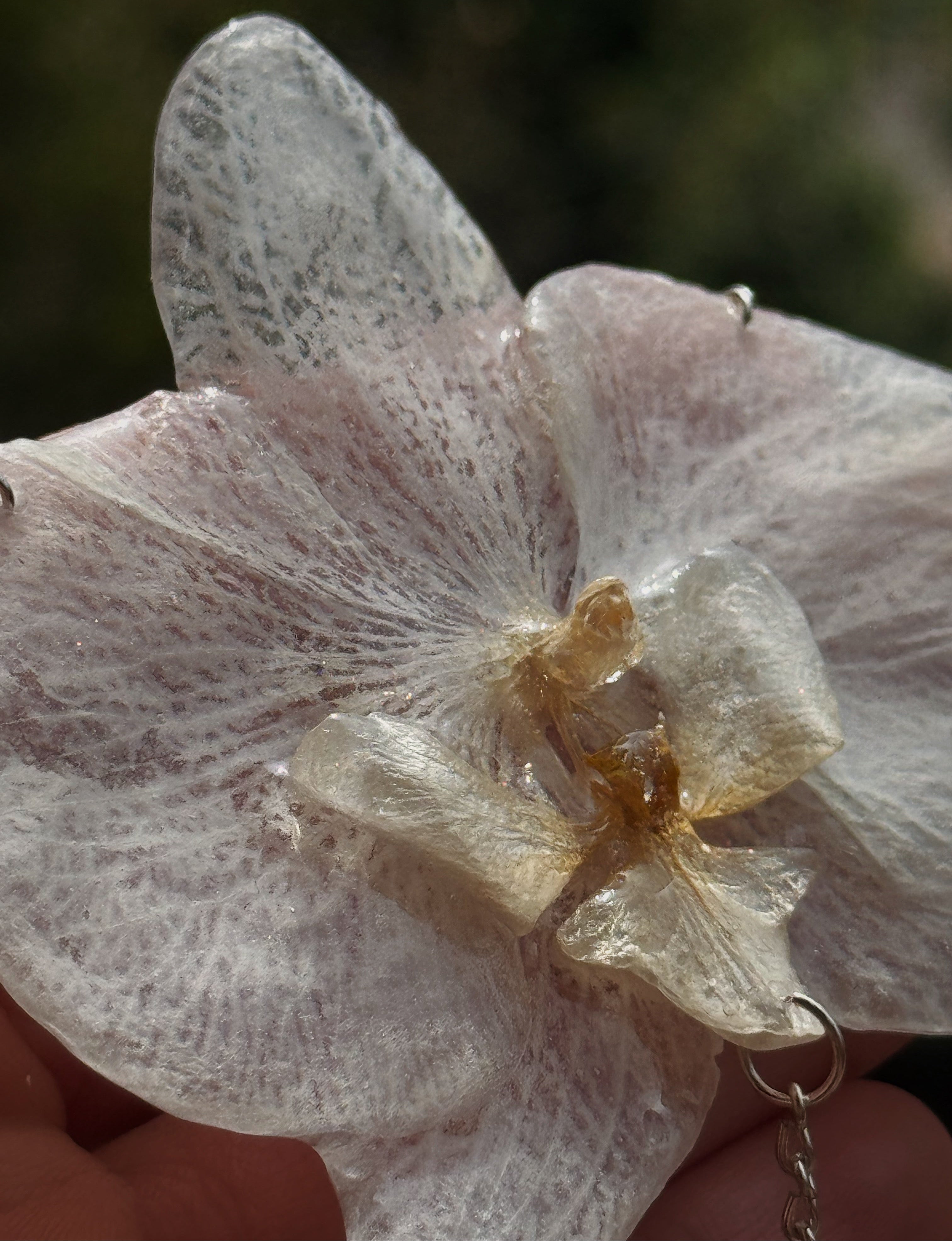 CRISTAL
