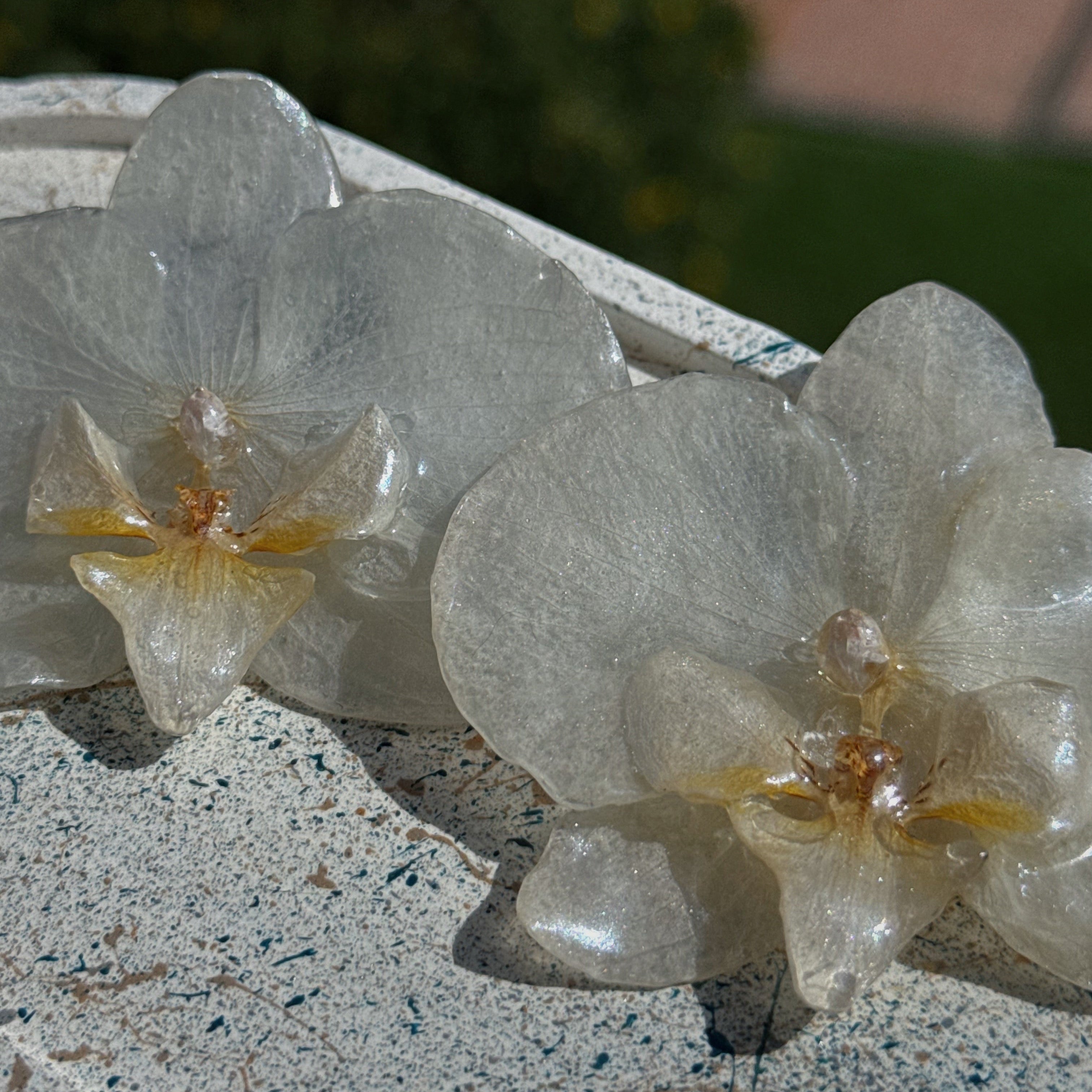 BLANCAS