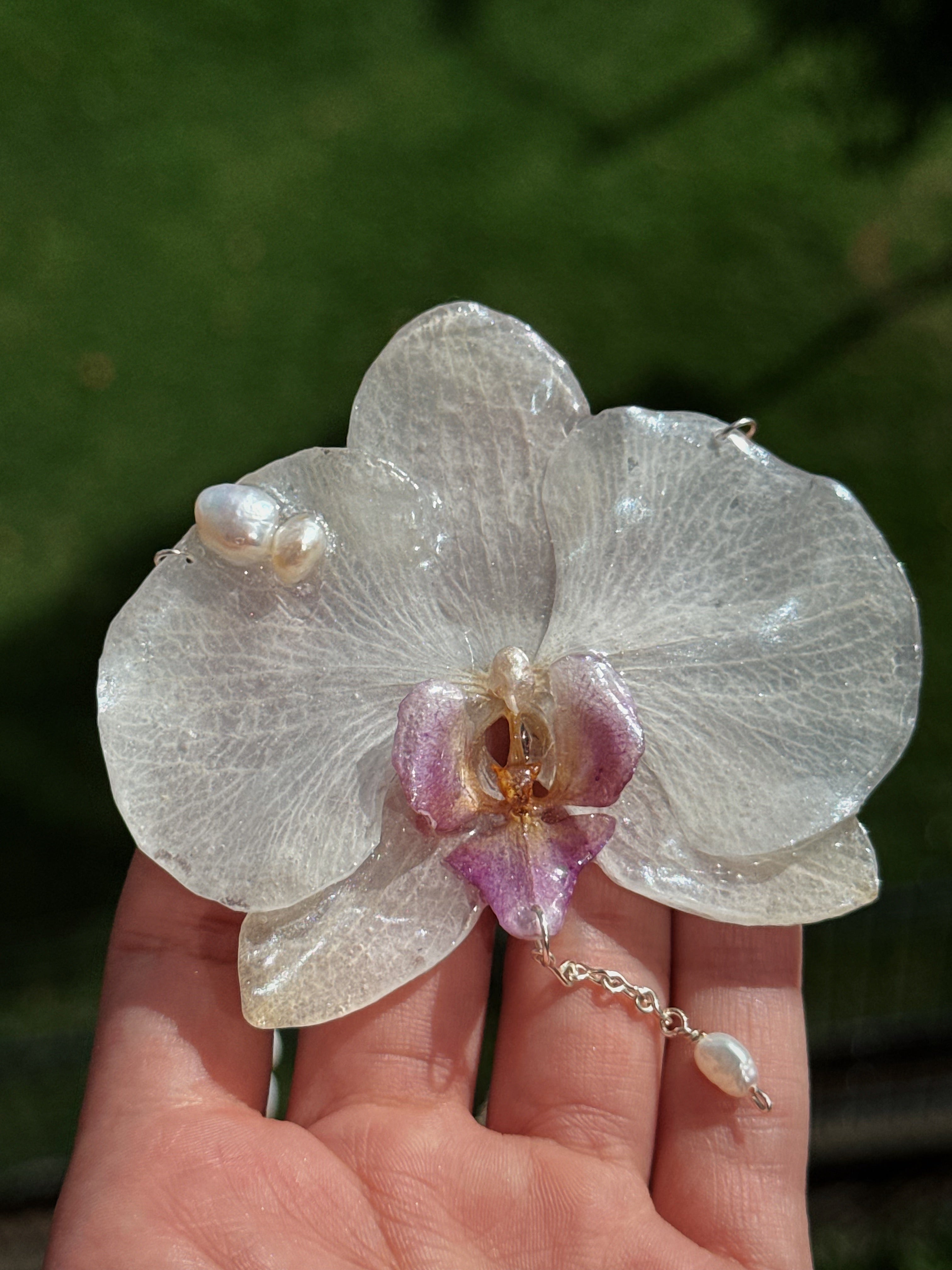 PERLA